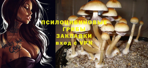 ALPHA PVP Медногорск